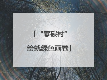 “零碳村” 绘就绿色画卷
