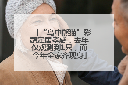 “鸟中熊猫”彩鹮定居孝感，去年仅观测到1只，而今年全家齐现身