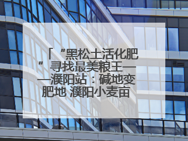 “黑松土活化肥”寻找最美粮王——濮阳站：碱地变肥地 濮阳小麦亩产1500多斤