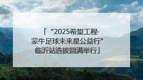 “2025希望工程·蒙牛足球未来星公益行”临沂站选拔圆满举行