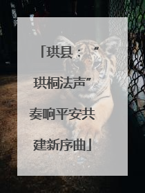 珙县：“珙桐法声”奏响平安共建新序曲