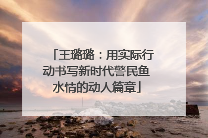王璐璐：用实际行动书写新时代警民鱼水情的动人篇章