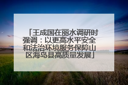 王成国在丽水调研时强调：以更高水平安全和法治环境服务保障山区海岛县高质量发展