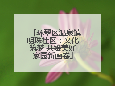 环翠区温泉镇明珠社区：文化筑梦 共绘美好家园新画卷