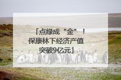 点绿成“金”！保康林下经济产值突破9亿元