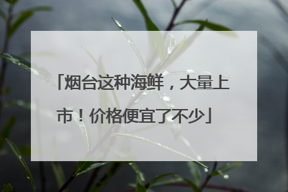 烟台这种海鲜，大量上市！价格便宜了不少