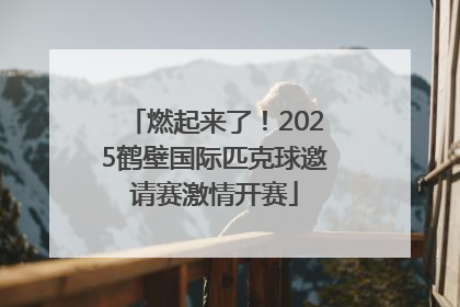 燃起来了！2025鹤壁国际匹克球邀请赛激情开赛