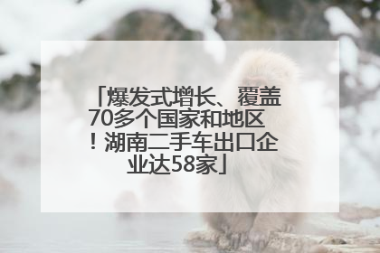 爆发式增长、覆盖70多个国家和地区！湖南二手车出口企业达58家
