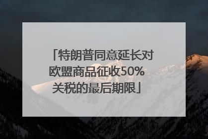 特朗普同意延长对欧盟商品征收50%关税的最后期限