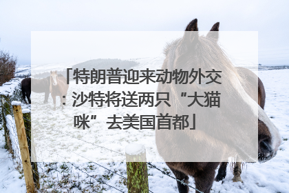 特朗普迎来动物外交：沙特将送两只“大猫咪”去美国首都