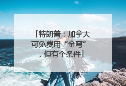 特朗普：加拿大可免费用“金穹”，但有个条件