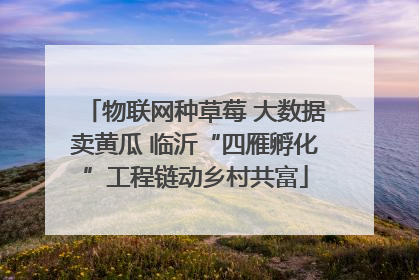 物联网种草莓 大数据卖黄瓜 临沂“四雁孵化”工程链动乡村共富