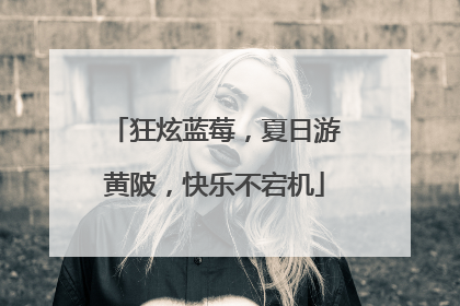 狂炫蓝莓，夏日游黄陂，快乐不宕机