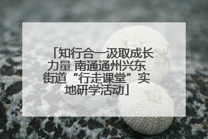 知行合一汲取成长力量 南通通州兴东街道“行走课堂”实地研学活动