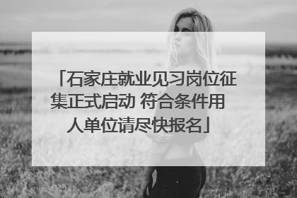 石家庄就业见习岗位征集正式启动 符合条件用人单位请尽快报名