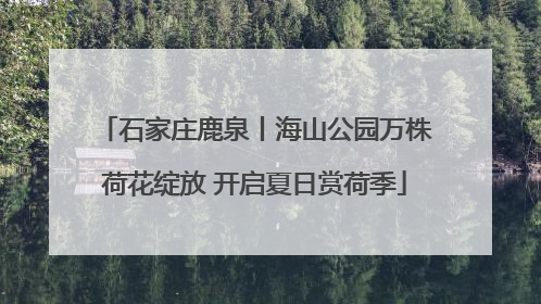 石家庄鹿泉丨海山公园万株荷花绽放 开启夏日赏荷季