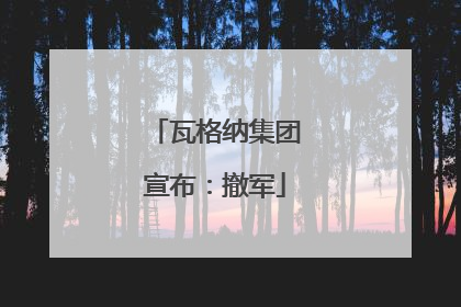 瓦格纳集团宣布：撤军