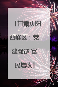 甘肃庆阳西峰区：党建强链 富民增收