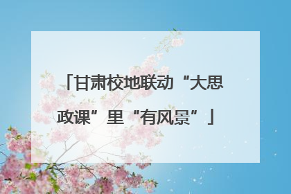 甘肃校地联动“大思政课”里“有风景”