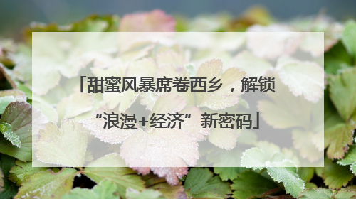 甜蜜风暴席卷西乡，解锁“浪漫+经济”新密码