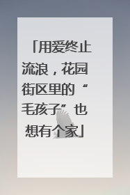 用爱终止流浪，花园街区里的“毛孩子”也想有个家