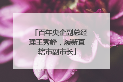 百年央企副总经理王秀峰，履新直辖市副市长