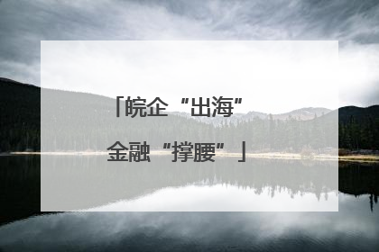 皖企“出海” 金融“撑腰”