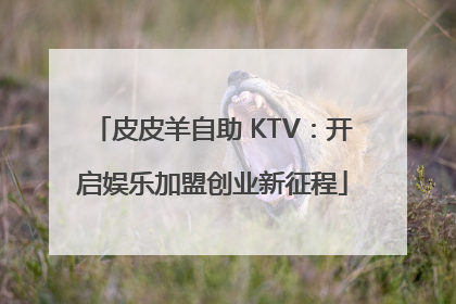 皮皮羊自助 KTV：开启娱乐加盟创业新征程