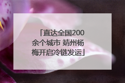 直达全国200余个城市 靖州杨梅开启冷链发运
