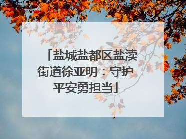 盐城盐都区盐渎街道徐亚明：守护平安勇担当