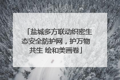 盐城多方联动织密生态安全防护网，护万物共生 绘和美画卷