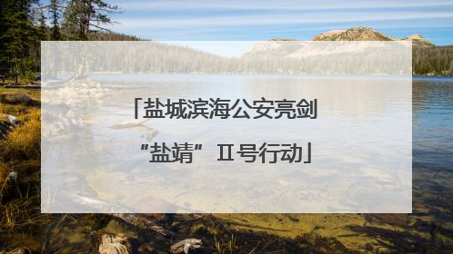 盐城滨海公安亮剑“盐靖”Ⅱ号行动