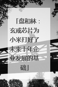 盘和林：玄戒芯片为小米打好了未来十年企业发展的基础