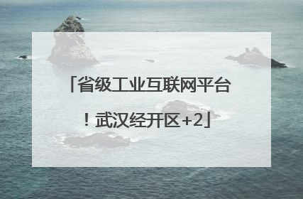 省级工业互联网平台！武汉经开区+2