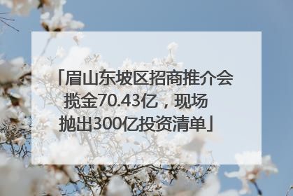 眉山东坡区招商推介会揽金70.43亿，现场抛出300亿投资清单