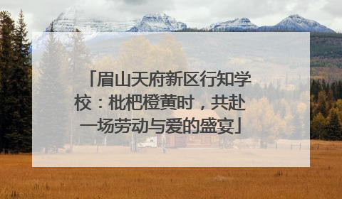 眉山天府新区行知学校：枇杷橙黄时，共赴一场劳动与爱的盛宴