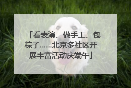 看表演、做手工、包粽子……北京多社区开展丰富活动庆端午