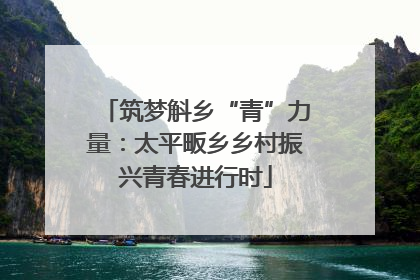 筑梦斛乡“青”力量：太平畈乡乡村振兴青春进行时
