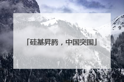 硅基昇腾，中国突围