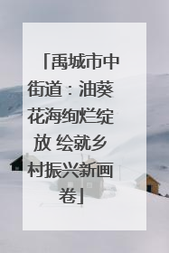 禹城市中街道：油葵花海绚烂绽放 绘就乡村振兴新画卷