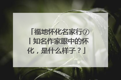 福地怀化名家行⑦丨知名作家眼中的怀化，是什么样子？