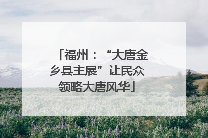福州：“大唐金乡县主展”让民众领略大唐风华