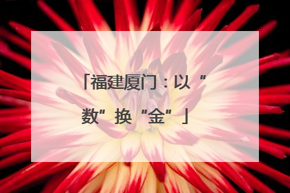 福建厦门：以“数”换“金”