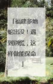 福建多地蛇出没！遇到别慌，这样做能保命
