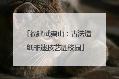 福建武夷山：古法造纸非遗技艺进校园