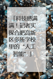科技感满满！记者实探合肥高新区多所学校里的“人工智能”