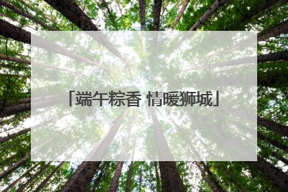 端午粽香 情暖狮城