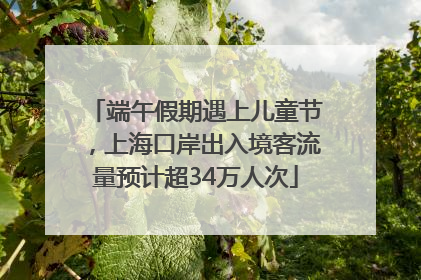 端午假期遇上儿童节，上海口岸出入境客流量预计超34万人次