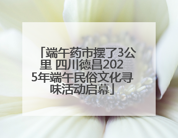 端午药市摆了3公里 四川德昌2025年端午民俗文化寻味活动启幕