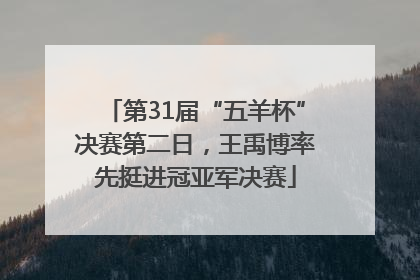 第31届“五羊杯”决赛第二日，王禹博率先挺进冠亚军决赛